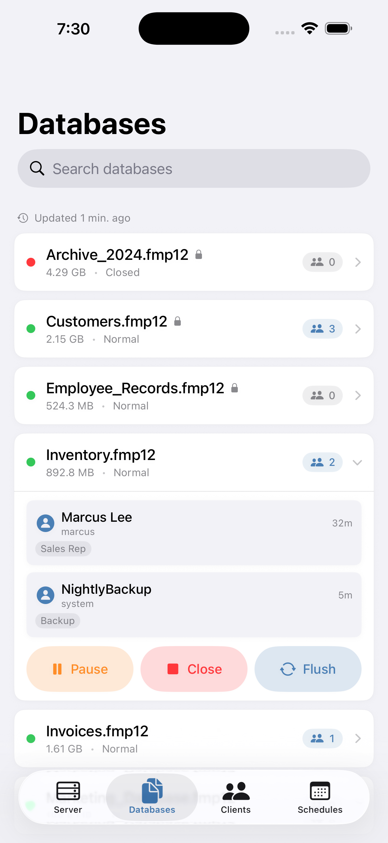 iOS Databases tab